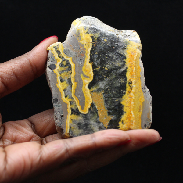 Spécimen poli de Jaspe Bumblebee - 105g