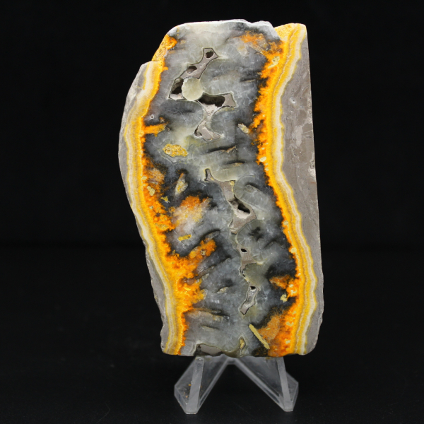 Tranche robuste de Jaspe Bumblebee d'Indonésie