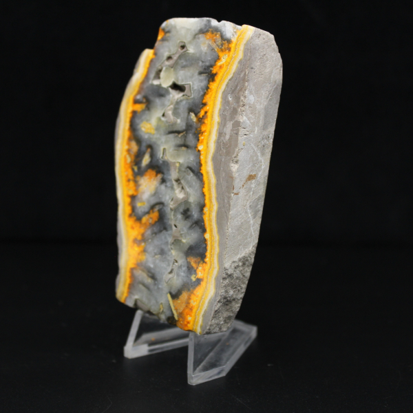 Tranche robuste de Jaspe Bumblebee d'Indonésie