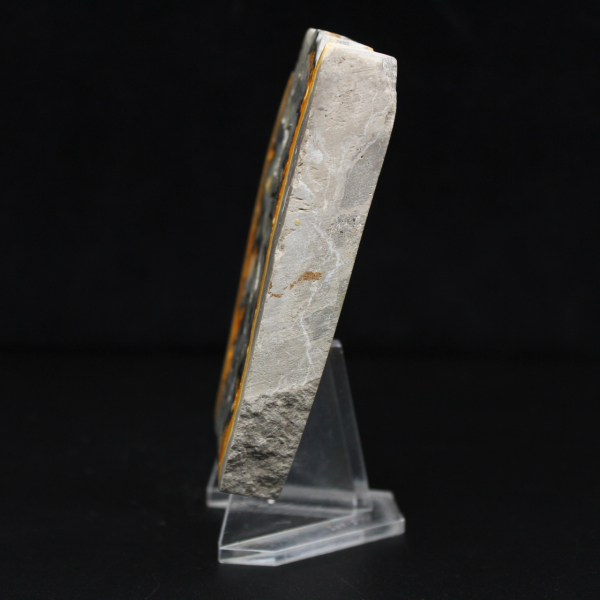 Tranche robuste de Jaspe Bumblebee d'Indonésie