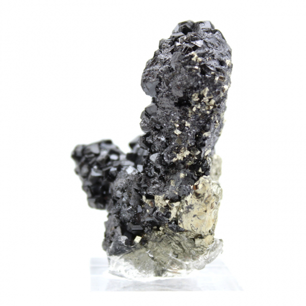 Minéral Authentique Pyrite-Sphalérite