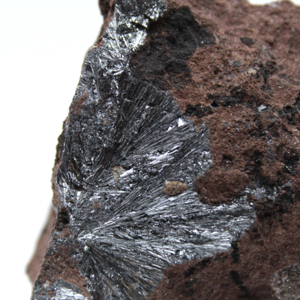 Pyrolusite, Miniature de Cristaux sur Matrice