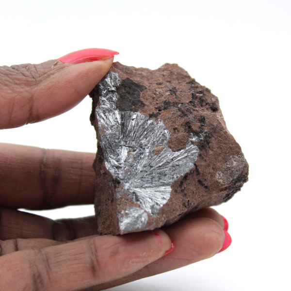 Pyrolusite, Miniature de Cristaux sur Matrice