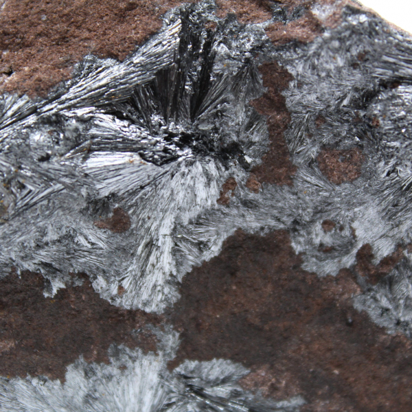 Grande Pièce de Pyrolusite Cristallisée Collection