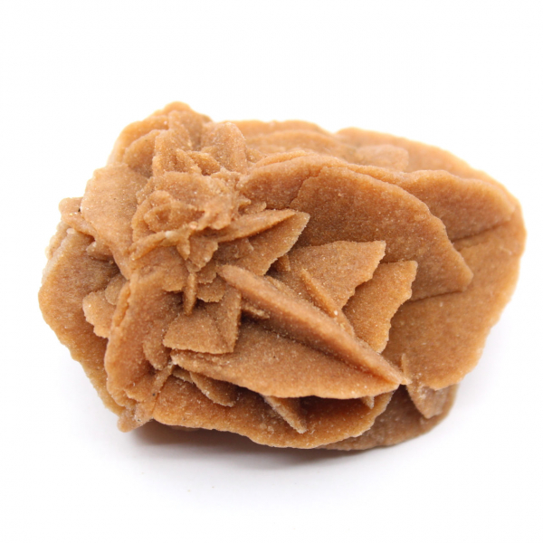 Formation de Rose des sables marocaine : gypse de collection