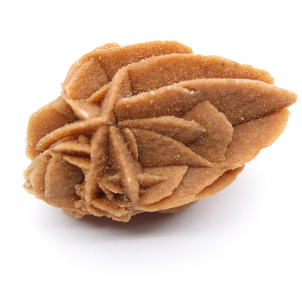 Formation de Rose des sables marocaine : gypse de collection