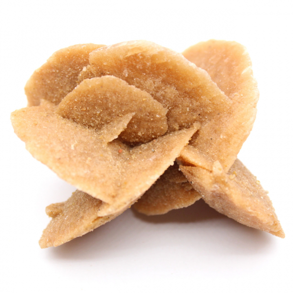 Grand spécimen de Rose des sables du Maroc : esthétisme minéral