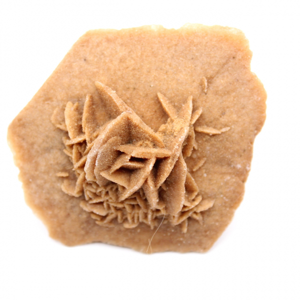 Rosette de gypse du Maroc : cristal naturel du Sahara