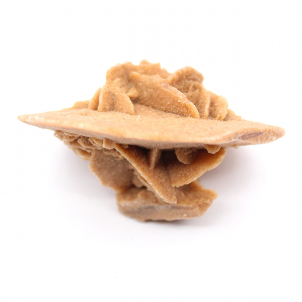 Rosette de gypse du Maroc : cristal naturel du Sahara