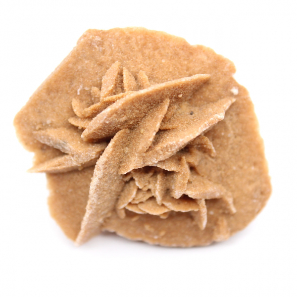 Rose des sables marocaine : petite pièce de collection brute