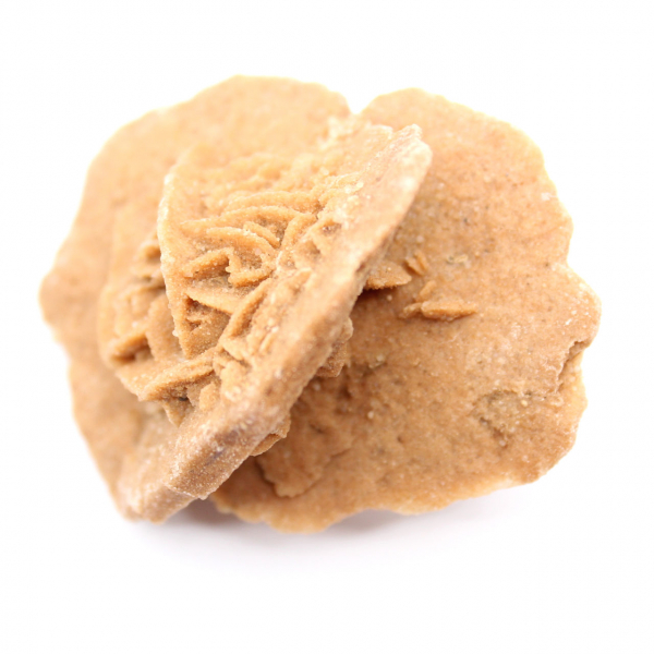 Rose des sables du Maroc : bouquet cristallin de gypse