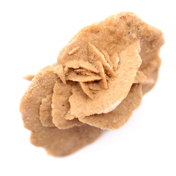 Rose des sables du Maroc : bouquet cristallin de gypse