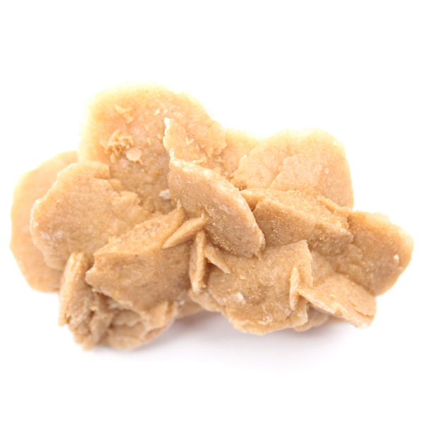 Spécimen de gypse cristallisé : Rose des sables du Maroc