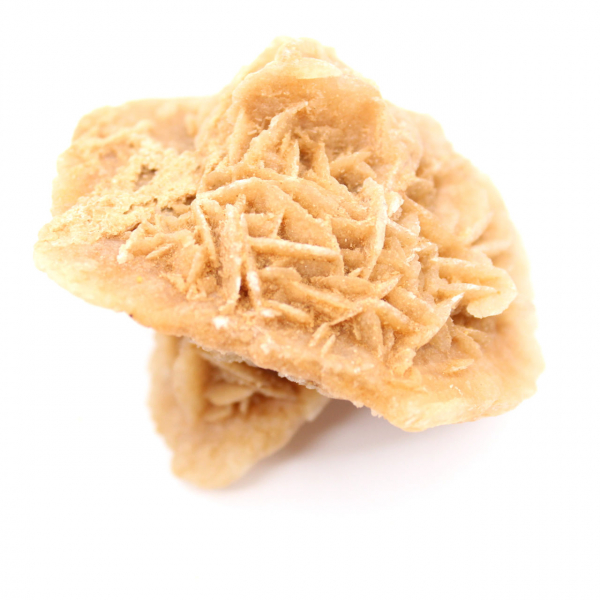 Rose des sables du Maroc : rosette de collection massive