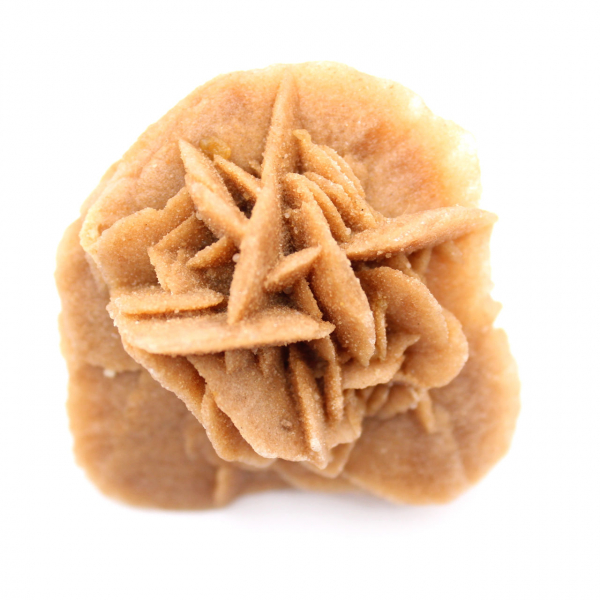 Rose des sables marocaine : bouquet de gypse naturel