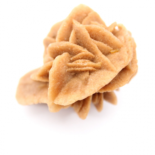 Rose des sables marocaine : bouquet de gypse naturel