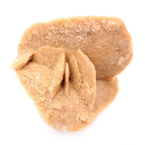 Rose des sables du Maroc : finesse des cristaux de gypse