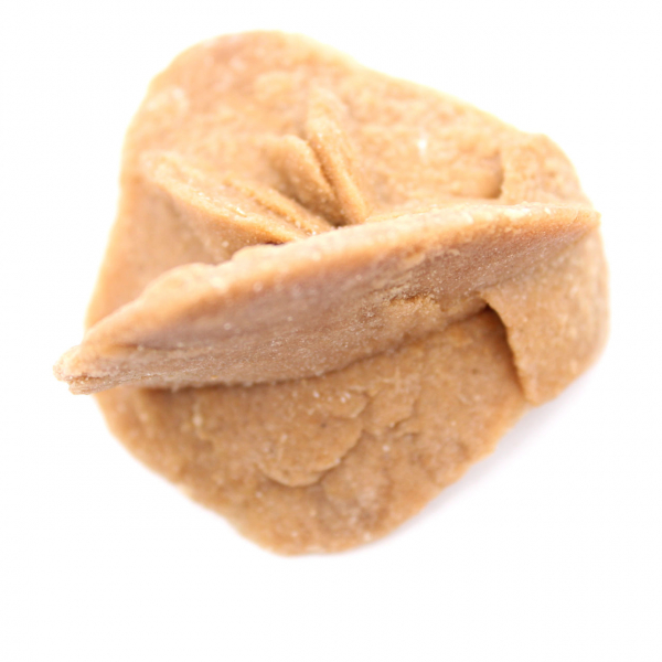 Rose des sables du Maroc : finesse des cristaux de gypse