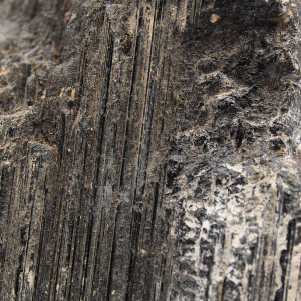 Grande Tourmaline Noire de Madagascar - Minéral Authentique
