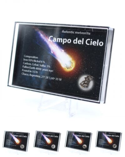 Météorites Argentine collection février 2024
