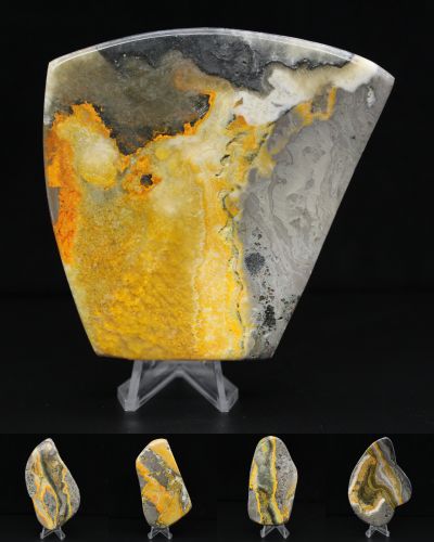 Jaspe Bumblebee Indonésie collection février 2026