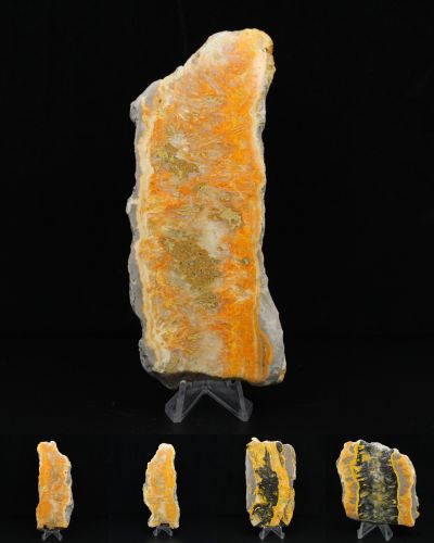 Jaspe Bumblebee Indonésie collection avril 2026