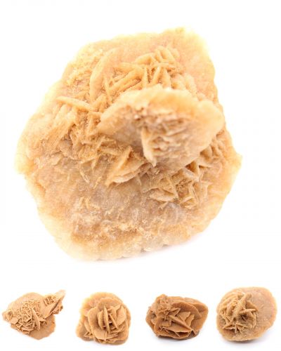 Rose des sables Maroc collection février 2026 Rose des sables Maroc collection février 2026