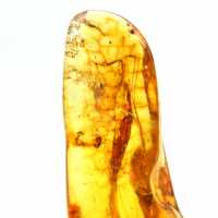 Ambre