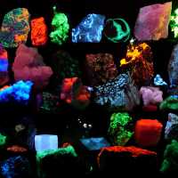 Les minéraux fluorescents : quand les pierres brillent dans le noir
