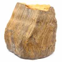 Oeil de tigre brut d'Afrique du Sud