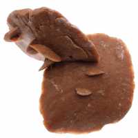 Rose des sables