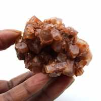 Roche d'aragonite