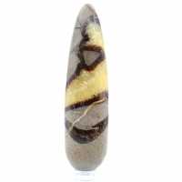 Pierre de Septaria poli naturel baton