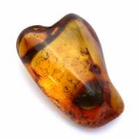 Ambre fossile