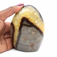 Septaria polie forme polie