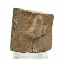 Staurotide de Bretagne 