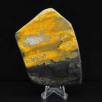 aspe Bumblebee Poli Indonésie Collection