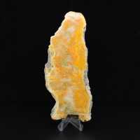 Plaque de Jaspe Bumblebee d'Indonésie