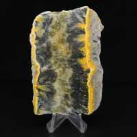 Petit spécimen de Jaspe Bumblebee en tranche