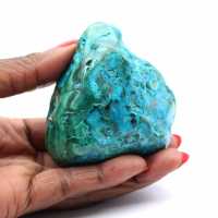 Chrysocolle polie du Congo collection