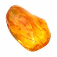 Galet poli d'Ambre jaune – Pierre Fossile pour Décoration