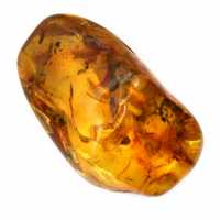 Galet Ambre jaune pour décoration et spécimen scientifique