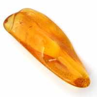 Ambre jaune véritable de la Baltique – Galet pour minéralogie