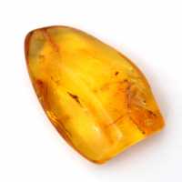 Ambre jaune Galet – Spécimen de la Baltique, objet authentique