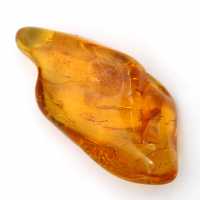 Galet Ambre jaune de Lituanie pour collection de fossiles