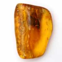 Ambre jaune Baltique – Objet Galet pour la minéralogie