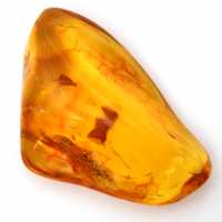 Ambre jaune de la Baltique – Galet poli, Objet de Déco