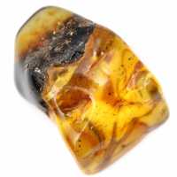 Authentique Galet d'Ambre Poli de Lituanie - Pièce de minéralogie Authentique Galet d'Ambre Poli de Lituanie - Pièce de minéralogie