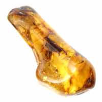 Spécimen de Galet d'Ambre Poli - Décoration et Science Géologique Spécimen de Galet d'Ambre Poli - Décoration et Science Géologique