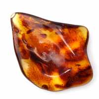 Ambre de Lituanie Poli : Galet pour Collection de Fossiles Ambre de Lituanie Poli : Galet pour Collection de Fossiles